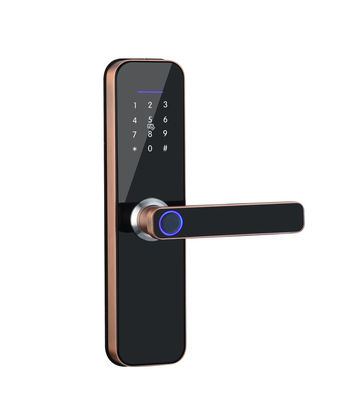ποιότητας  Tuya Smart Door Lock Series Door Locks WIFI Fingerprint Cheap Zinc Alloy Phone Smart Door Lock Work With TT LOCK APP εργοστάσιο
